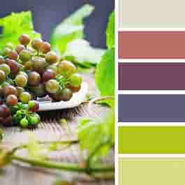 Совместимость оливкового цвета